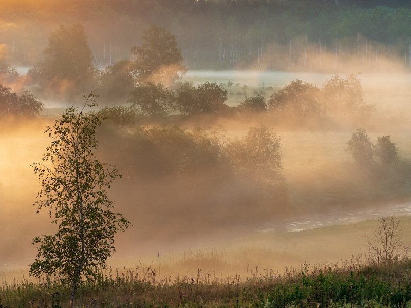 Туманная феерия фото превью