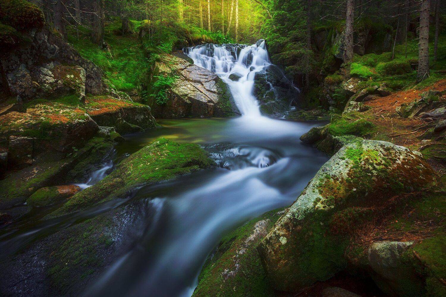 , Szabo Zsolt Andras