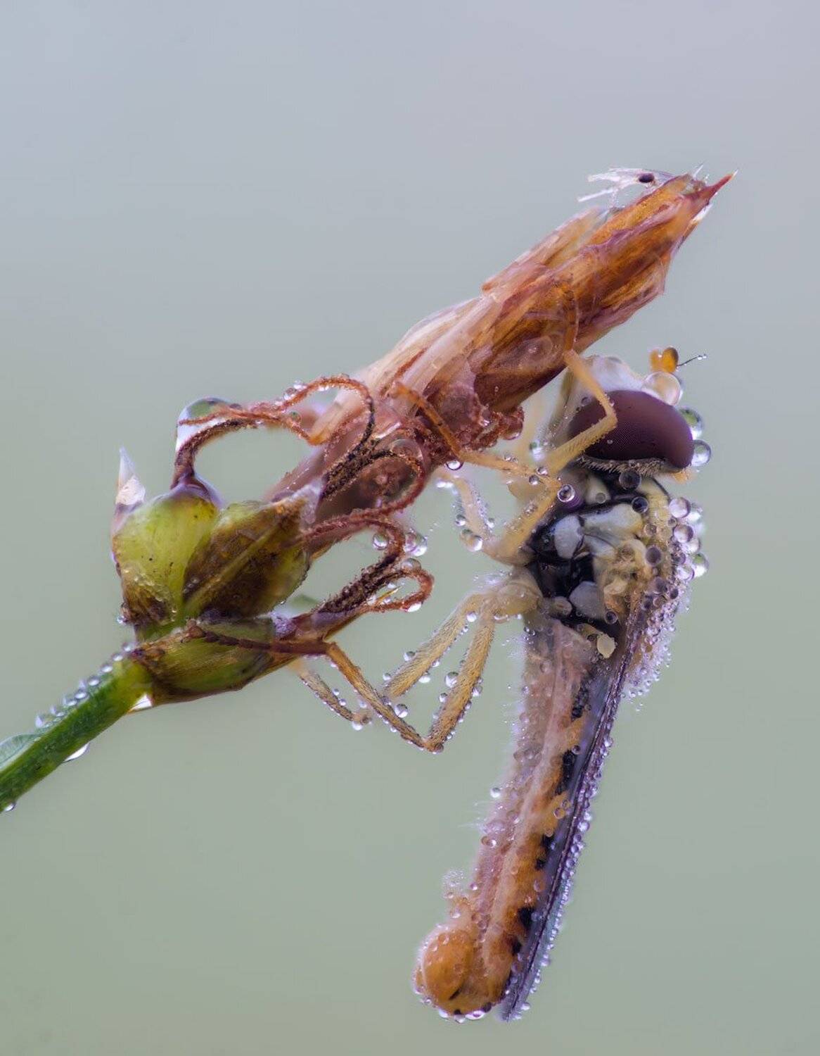 , Сергей Брагин