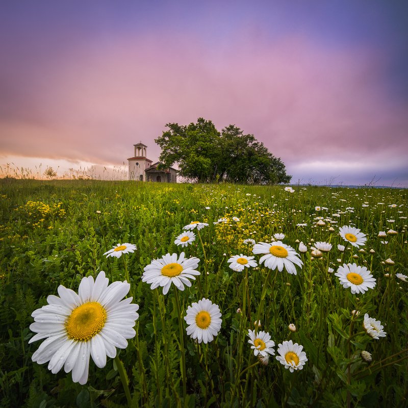 bulgaria, church, spring The smell of Spring фото превью