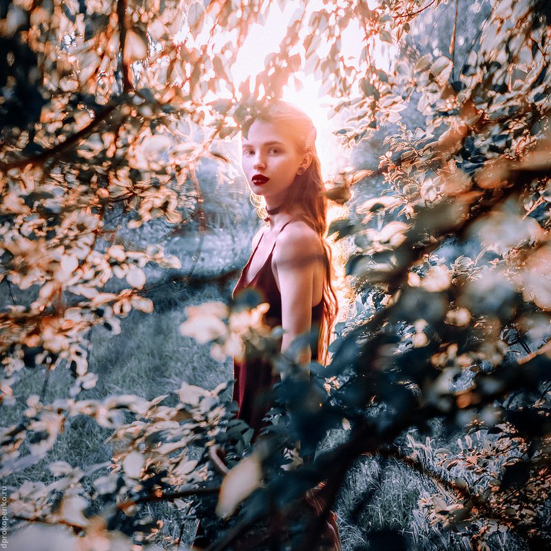 фото превью