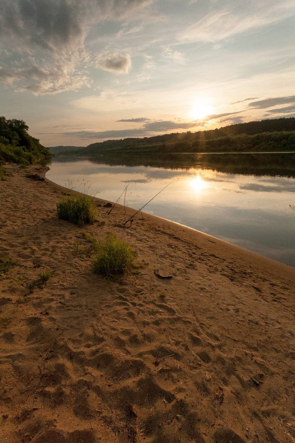, Виталий Стрельцов
