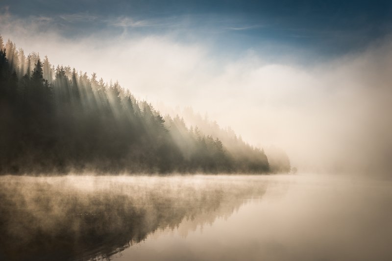 Morning dreams фото превью