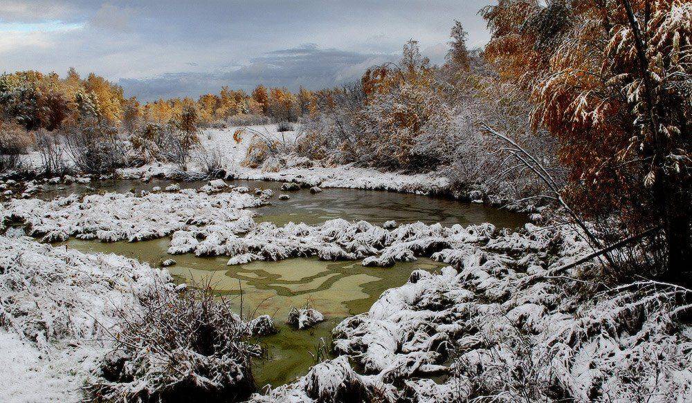 , Николай Морский