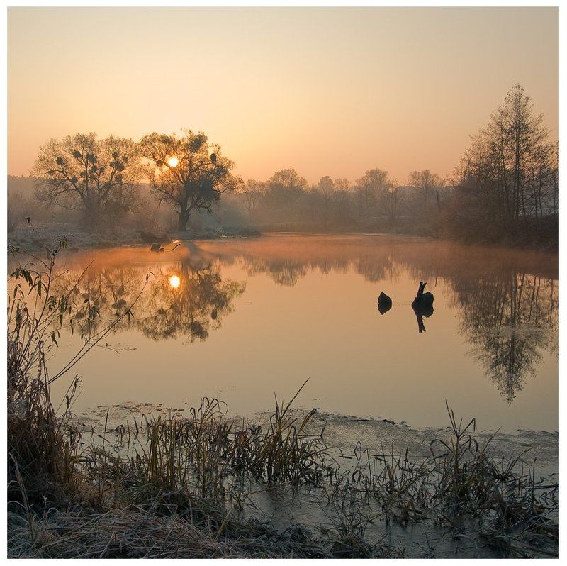 золотое утро... фото превью