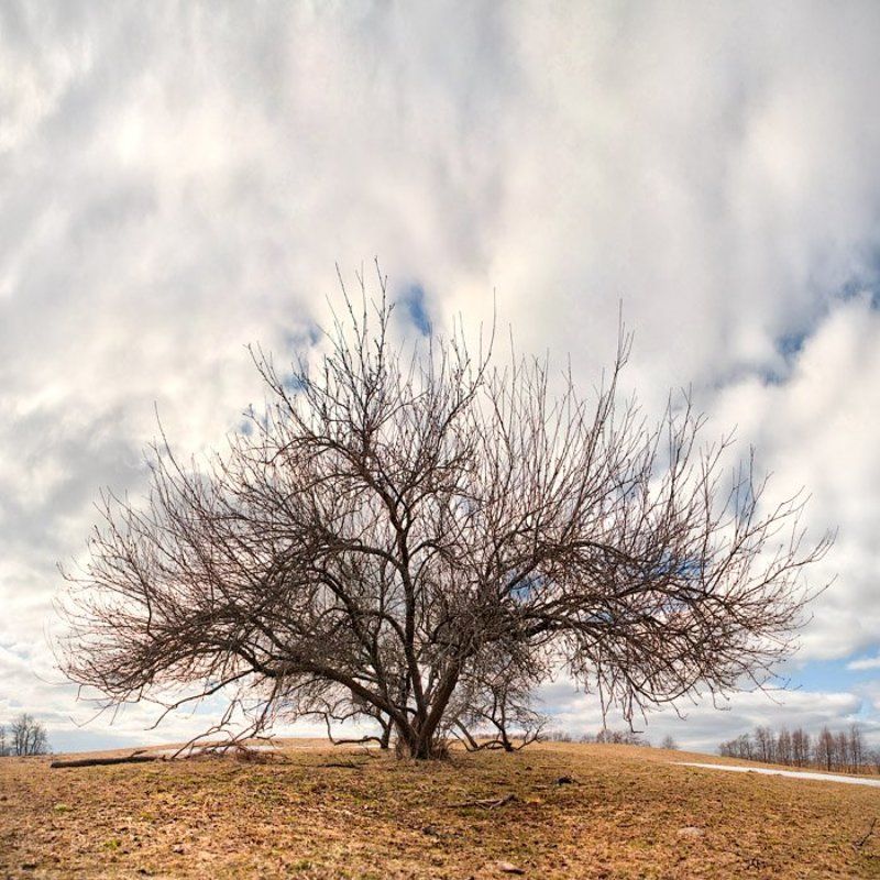 я, небо, обниму, руками Я небо обниму руками фото превью