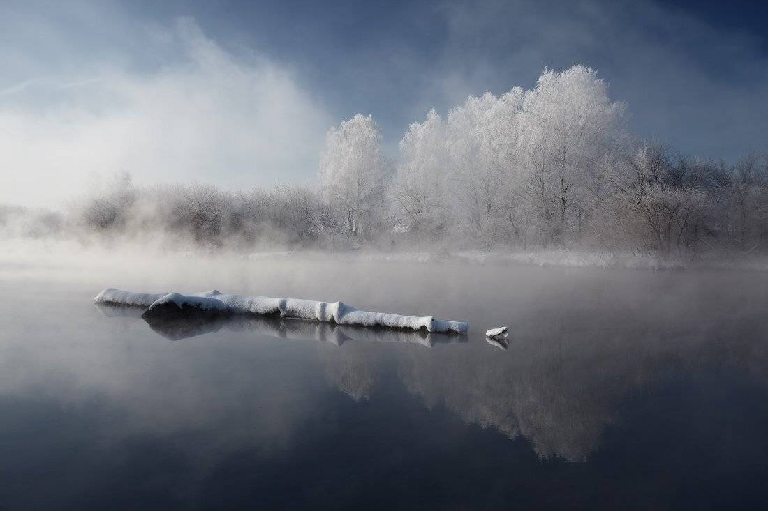 , Михаил Трахтенберг