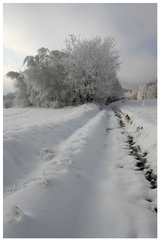 /// фото превью