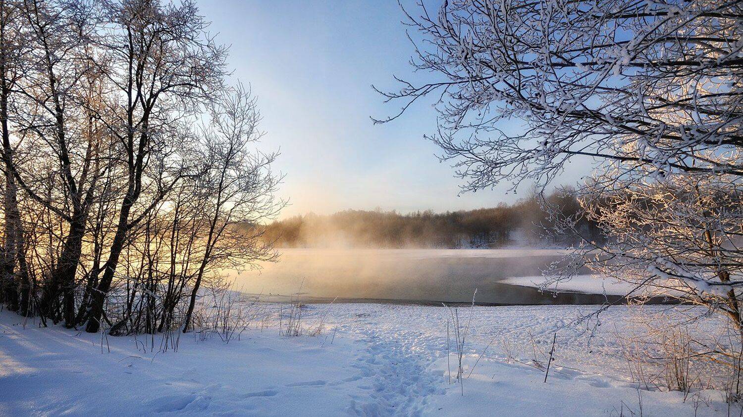 , Андрей Куликов