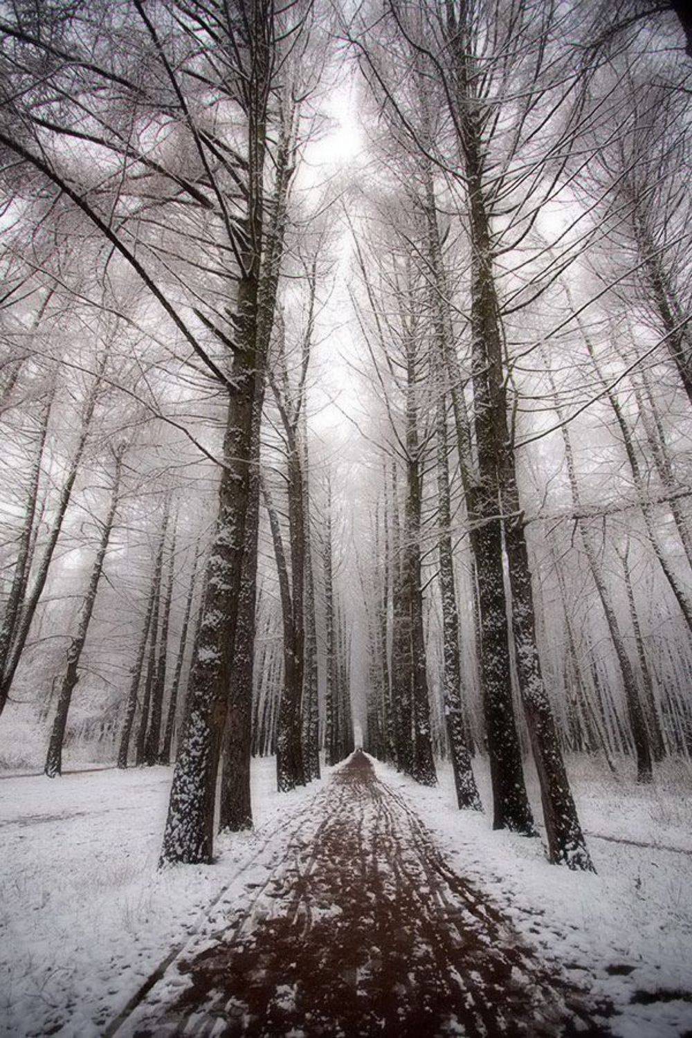 , Александр