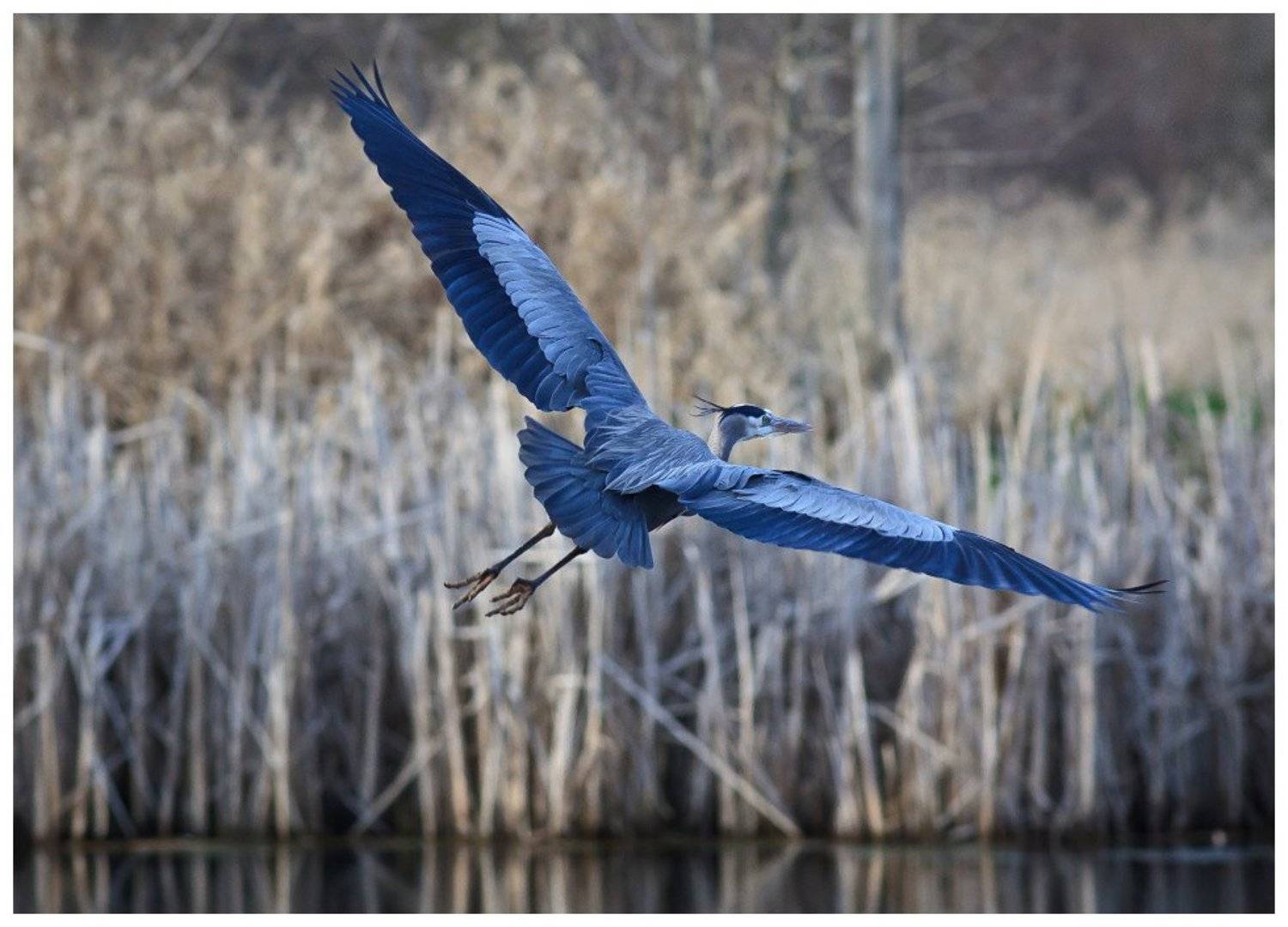 , ГеннадийАлексеич