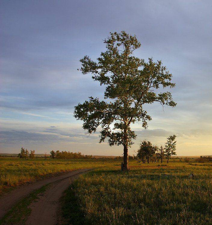 , Андрей Журавлев