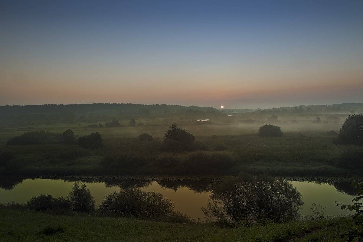 тригорское, Андрей Леонидович