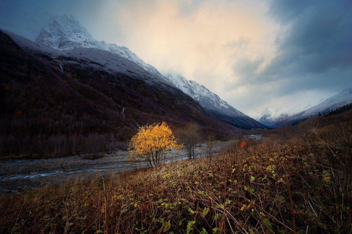 домбай, Владимир L
