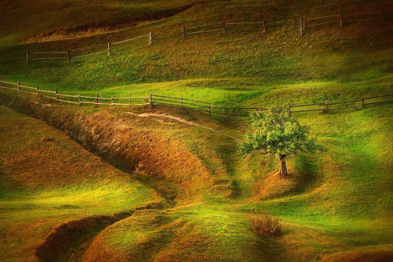 Tranquillity фото превью