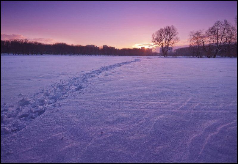 За солнцем фото превью