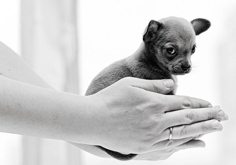 Life in Your Hands фото превью