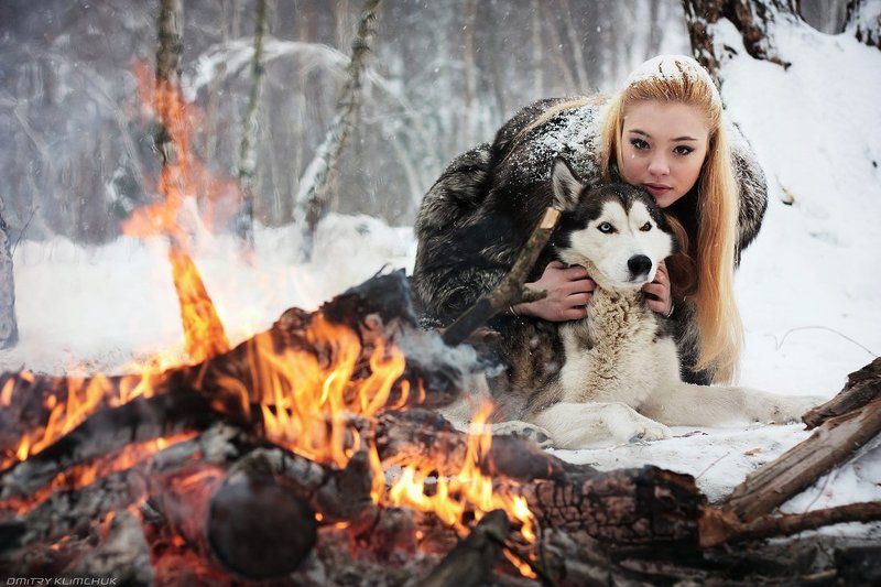 Приручение волков фото превью