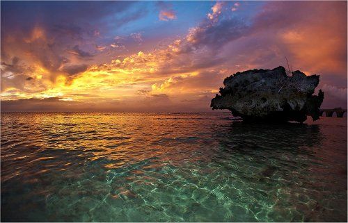 закатный  переполох