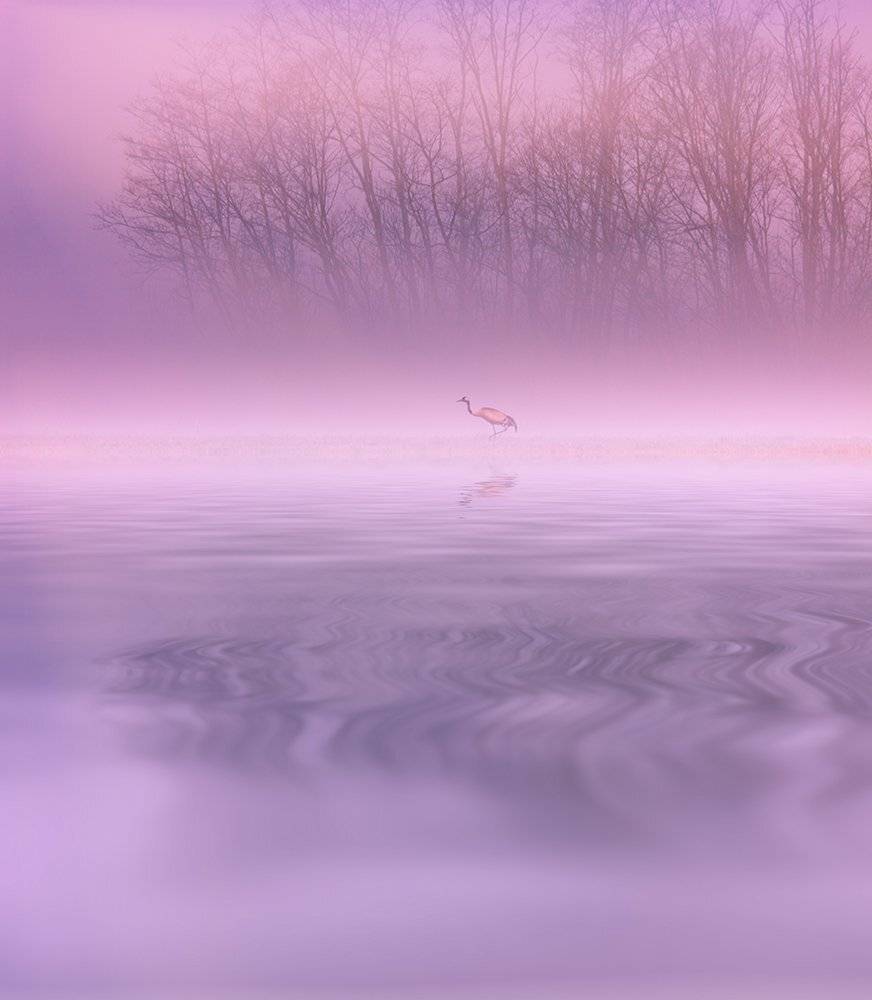 башкирия, инзер, пейзаж, журавль, болото, лягушка, река, рассвет, Konstantin Mironov