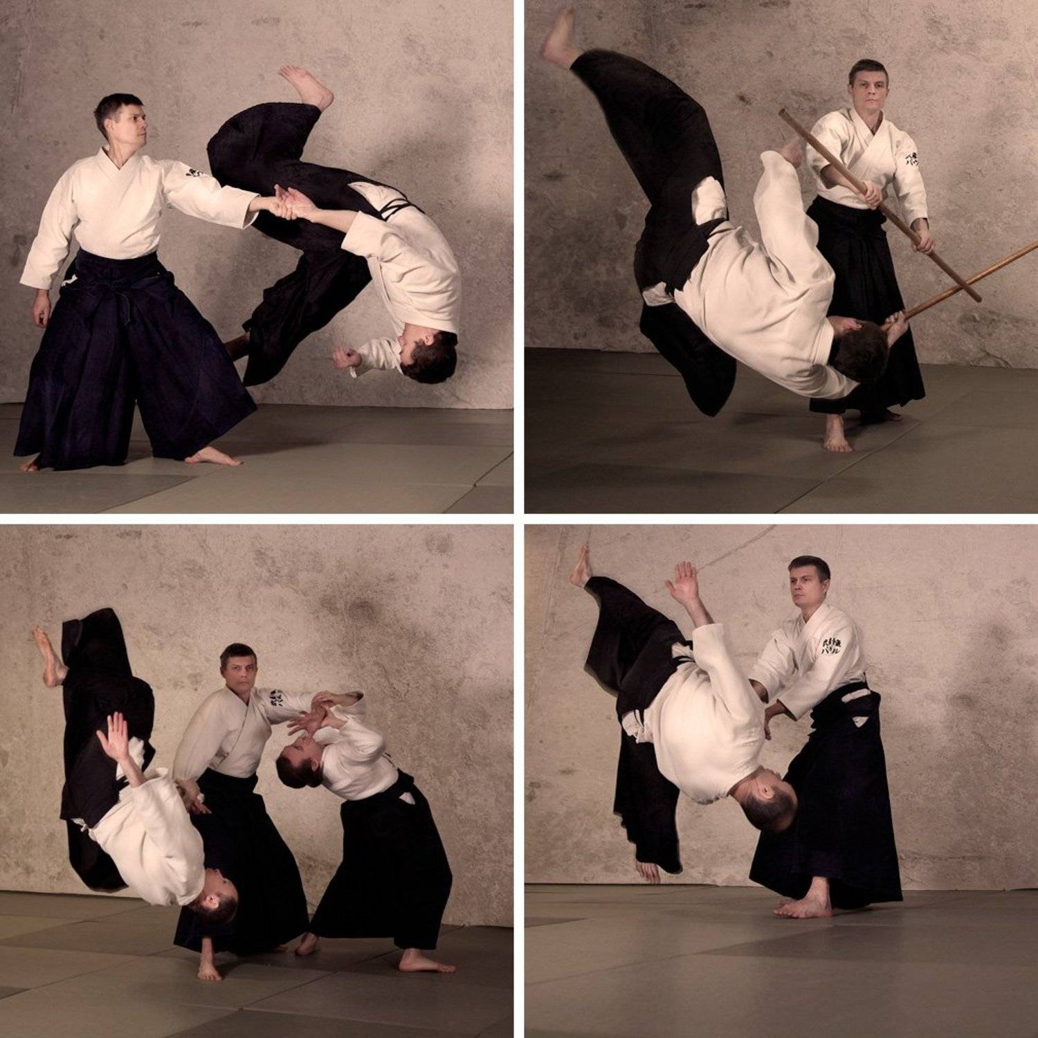 айкидо, Артем Кодолов