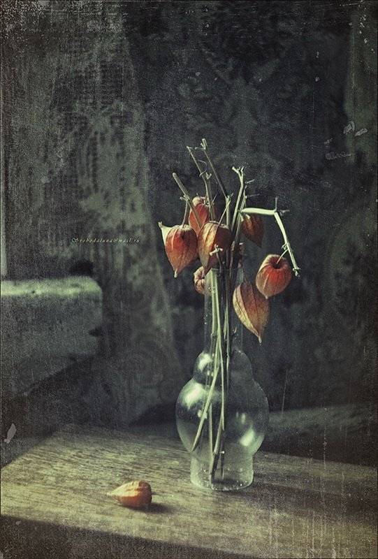 ***. Автор: Svoboda Andreeva , Svoboda Andreeva