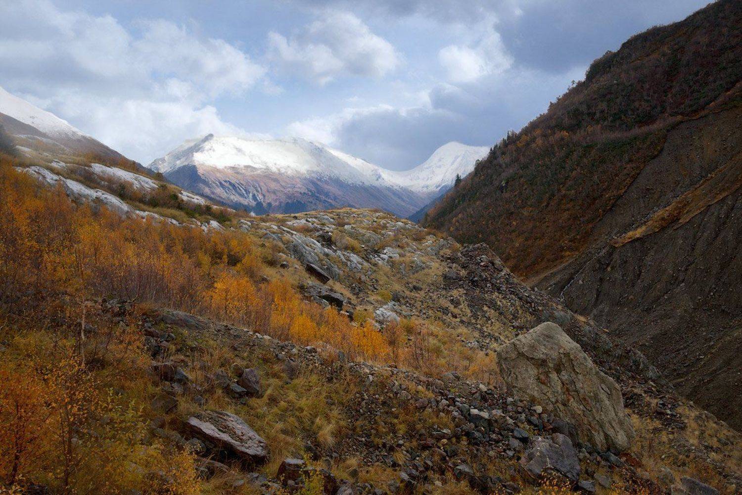 домбай, Владимир L