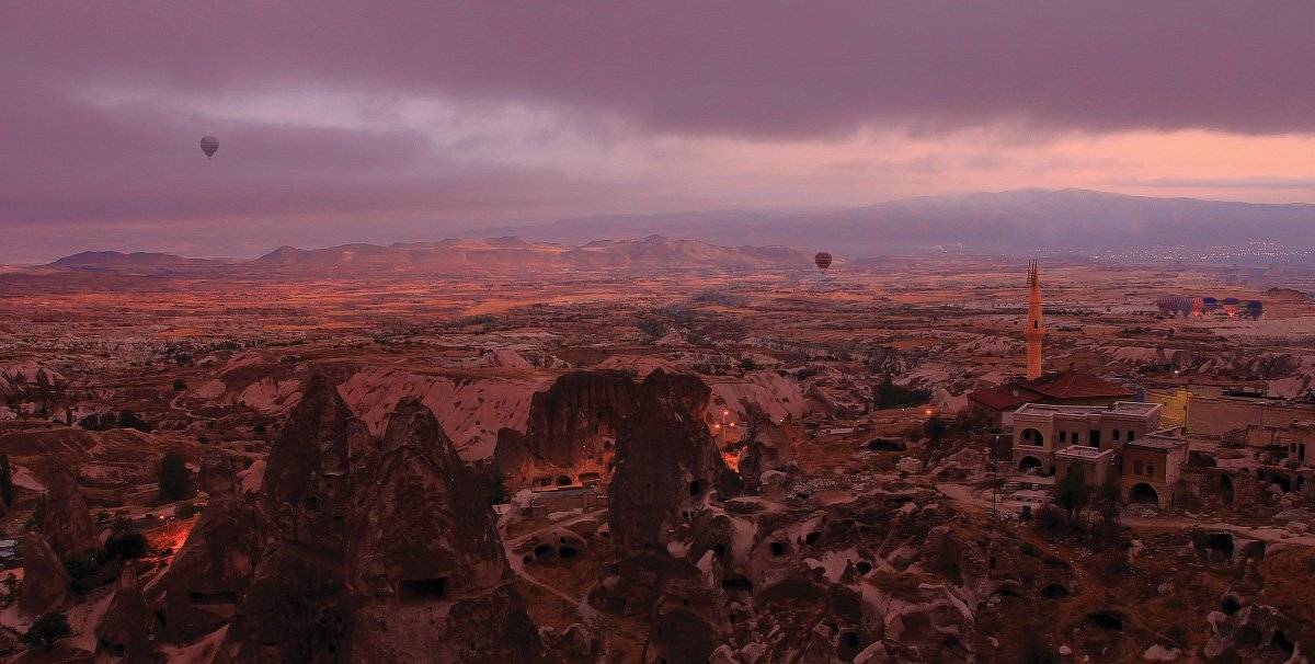 ,, Гамидов Мурад