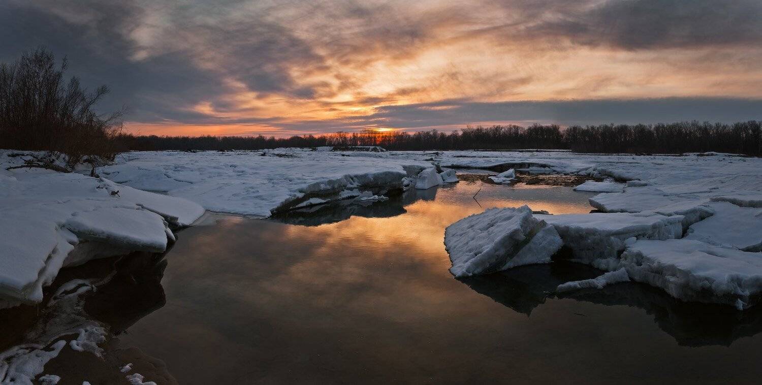 февраль, Николай Мысливцев
