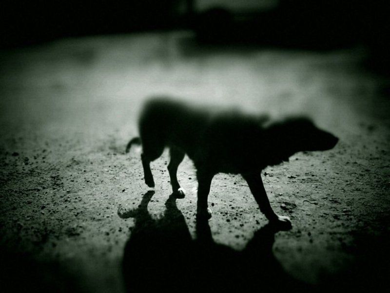 наивность фото превью