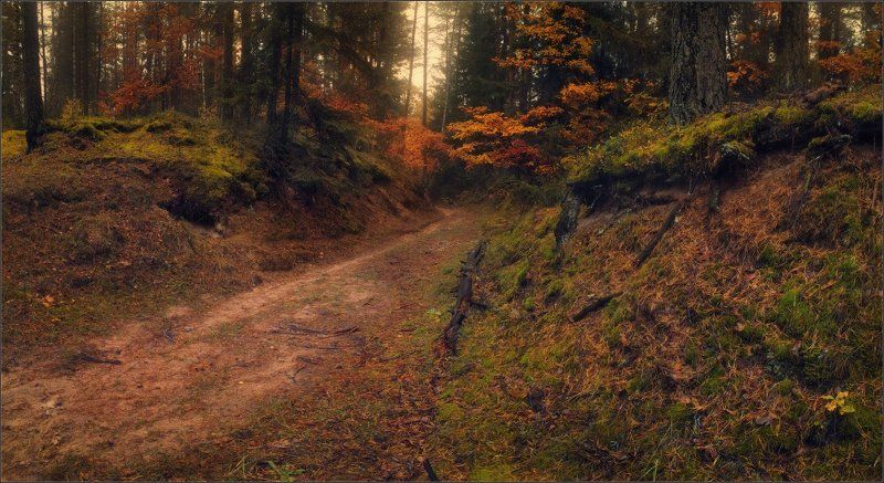 / Дыхание осени / фото превью