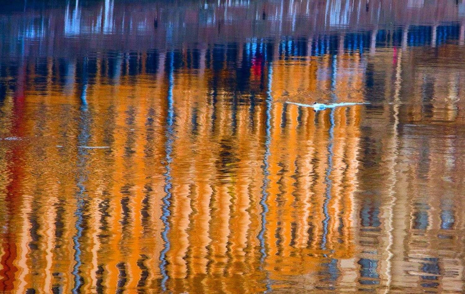 , Viktor Kalechenkov