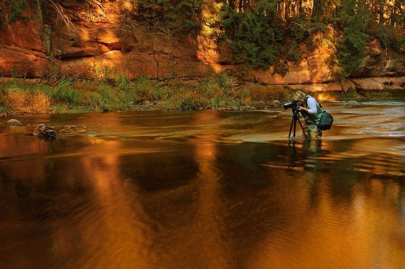 Свет - золото для фотографа. фото превью