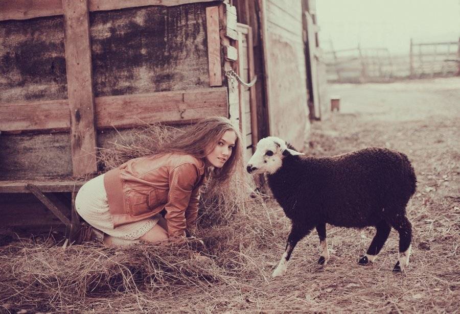 , Шадрина Ирина