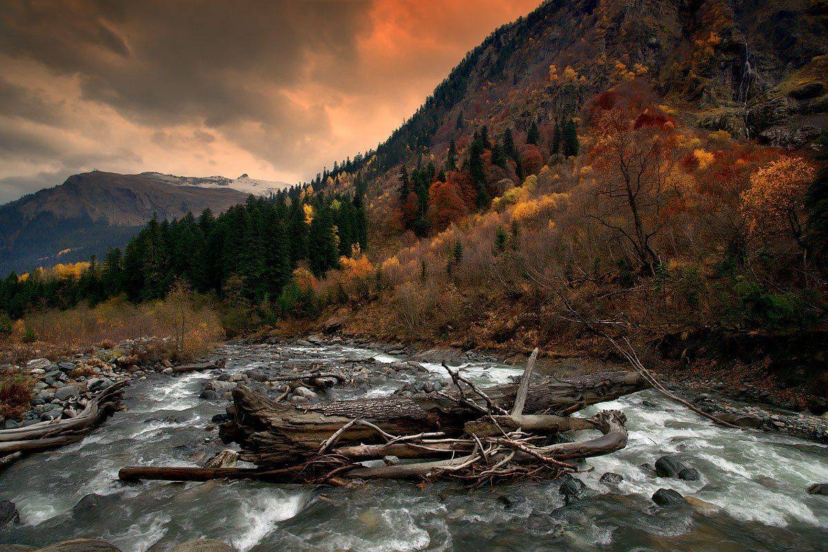 домбай, Владимир L