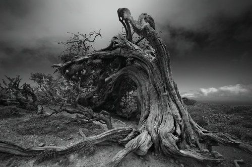 Непокорённый