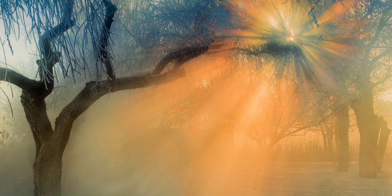 город, парк, зима река кубань МОРОЗНЫМИ ТРОПАМИ -2 фото превью