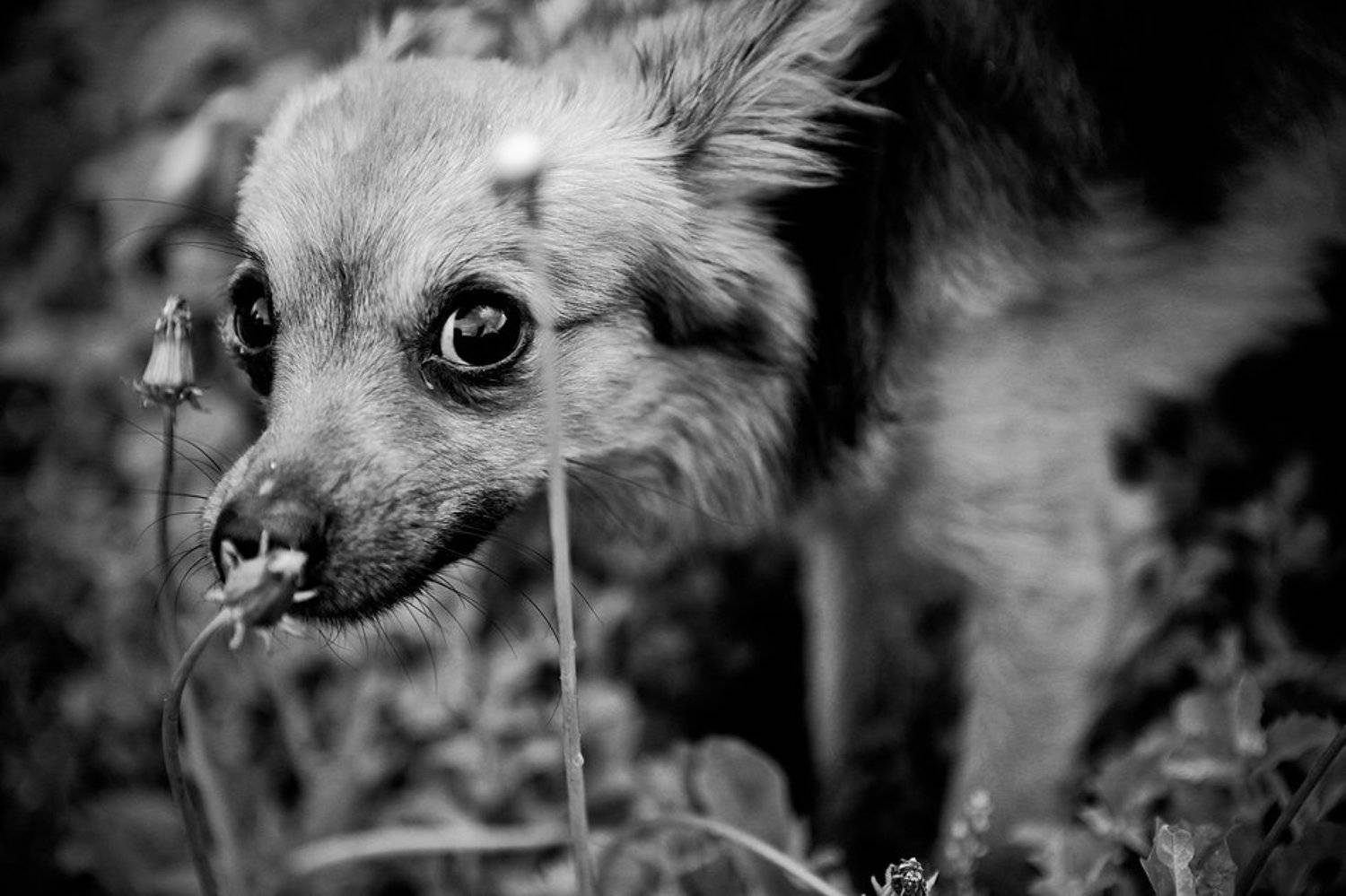 , Евгений Казаков