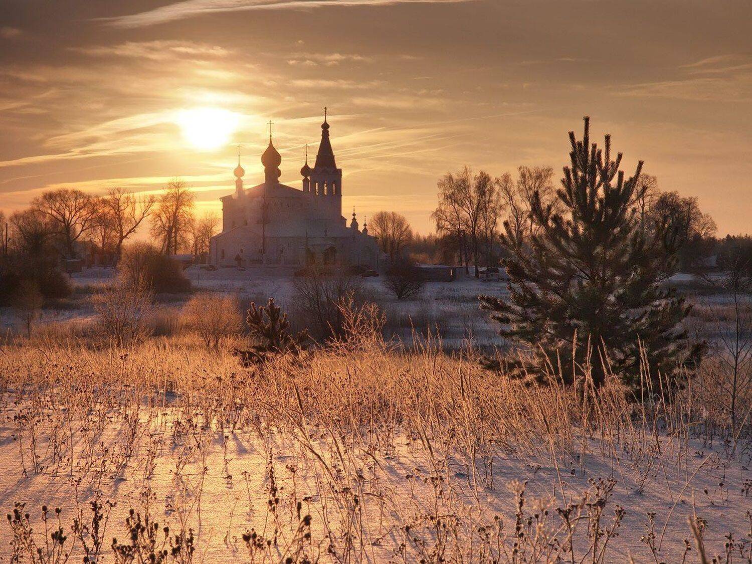 , Максим Евдокимов