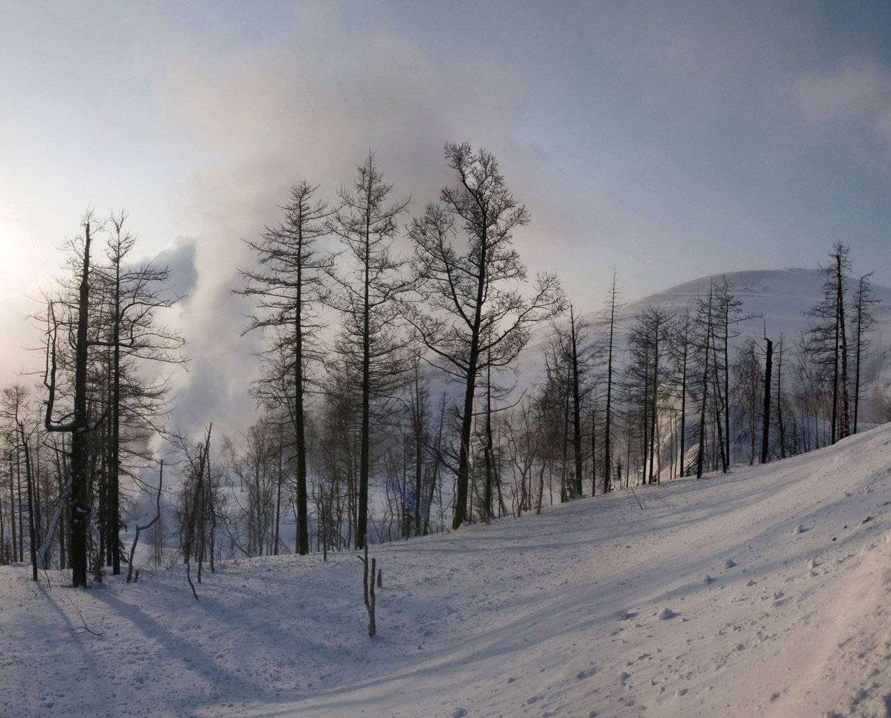 таймыр,зима, Vladimir