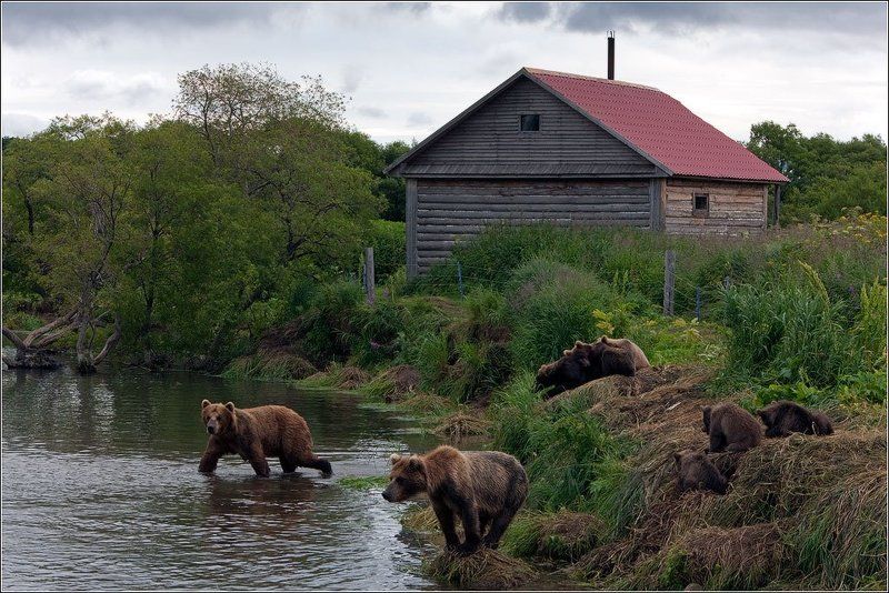 Банька фото превью