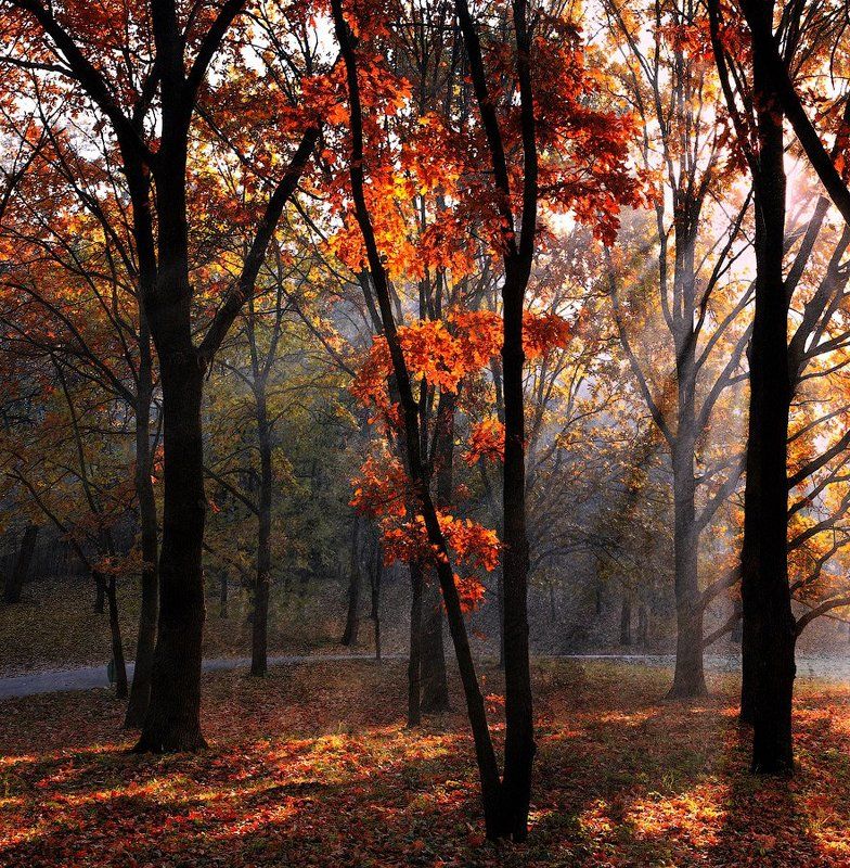 *** фото превью