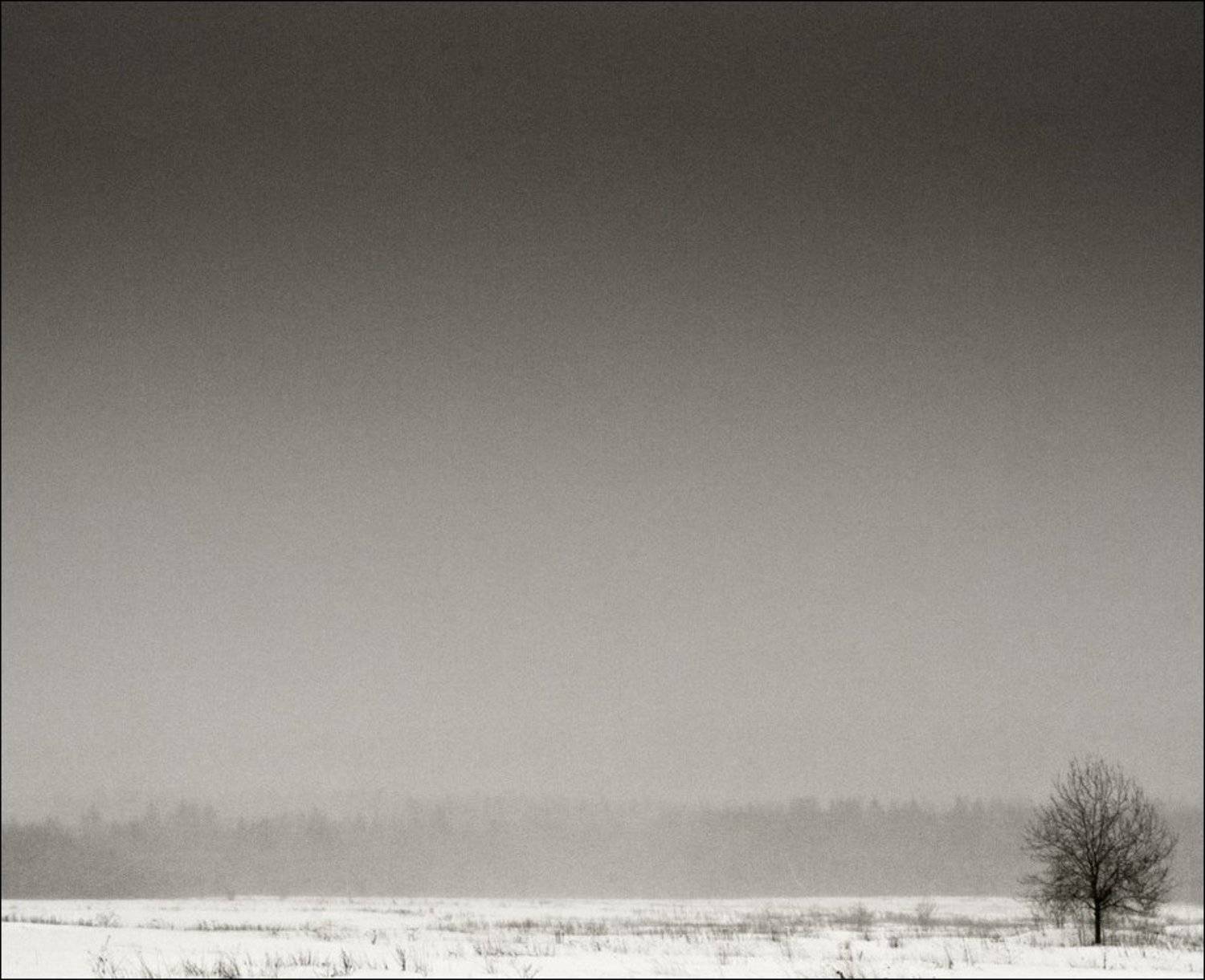 , Александр Большаков