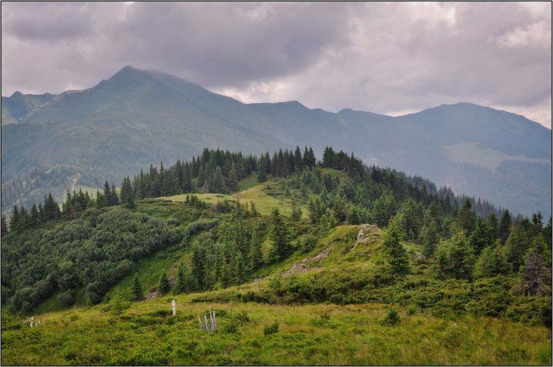 мармаросы, карпаты, украина Мармароский массив фото превью