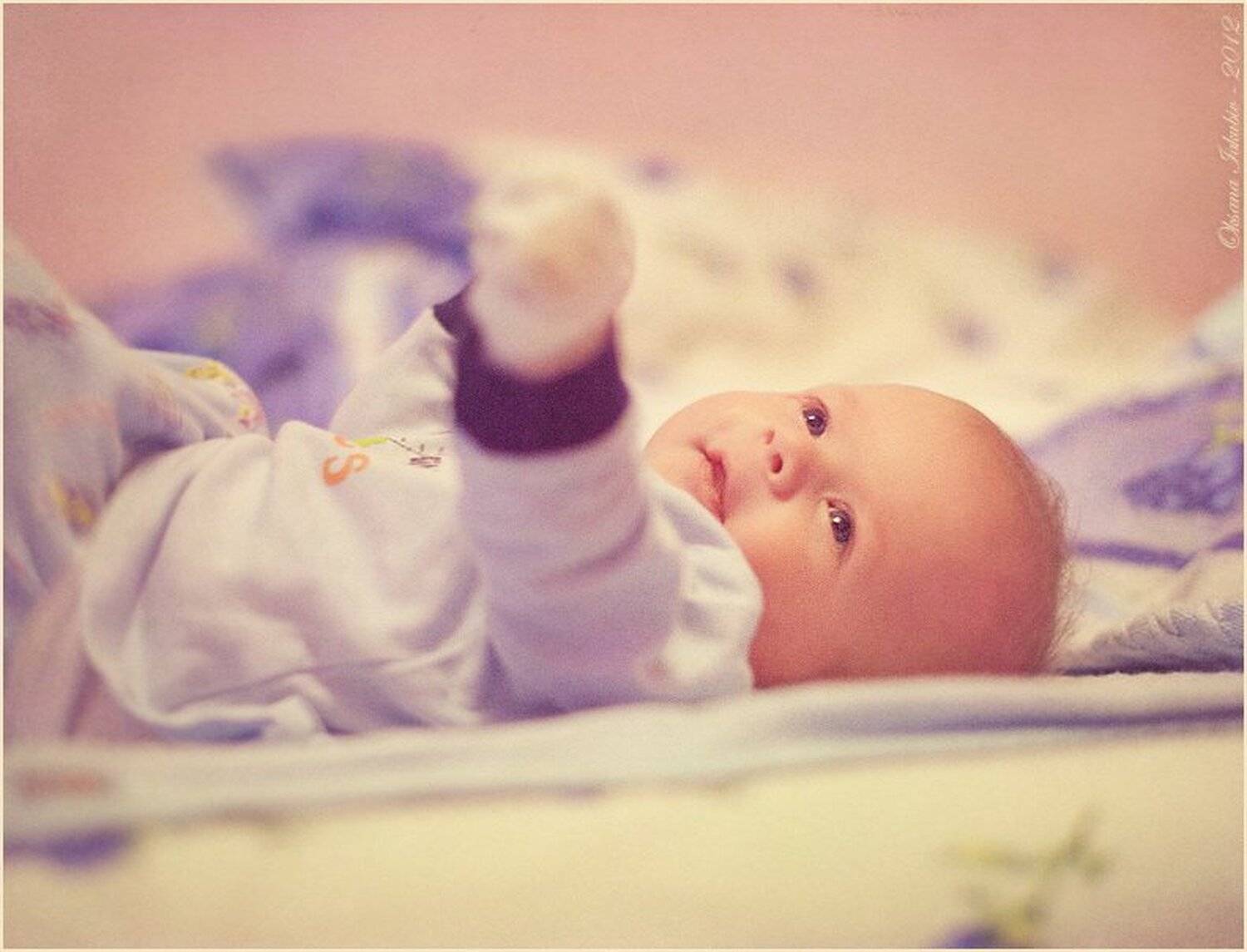 , Оксана Якубів