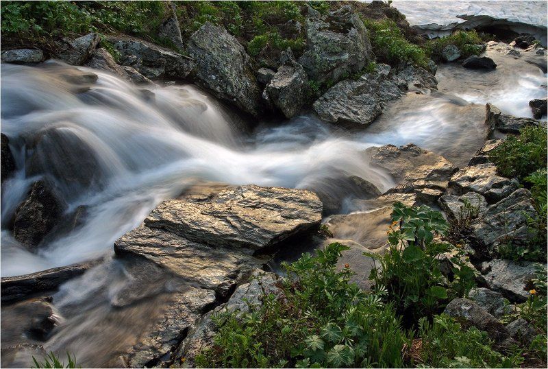 поднебесные, зубья  фото превью
