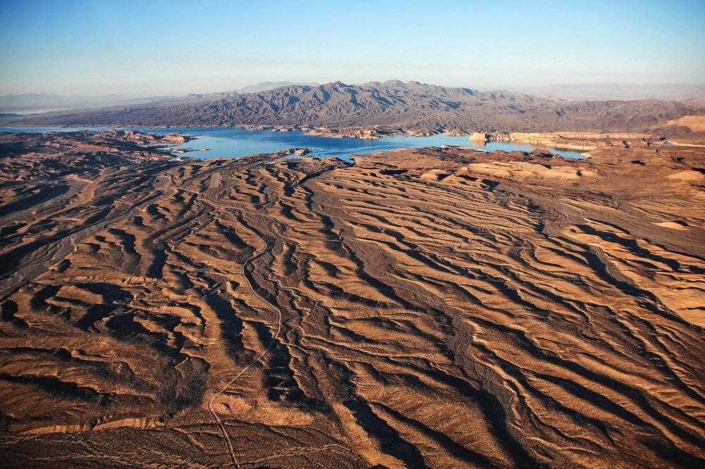 , Дара Пилюгина