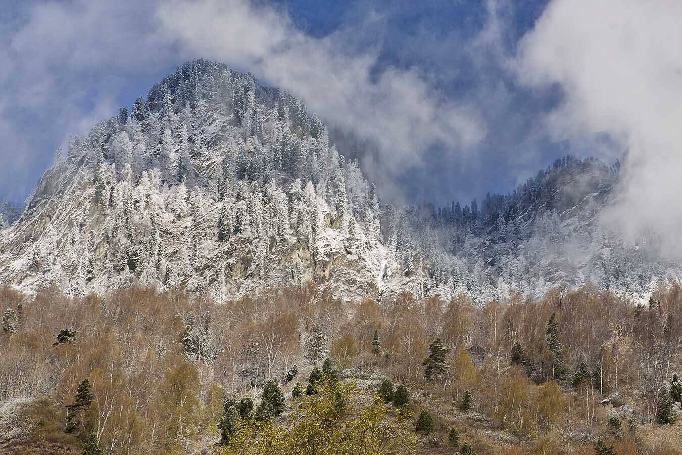 , Качурин Алексей