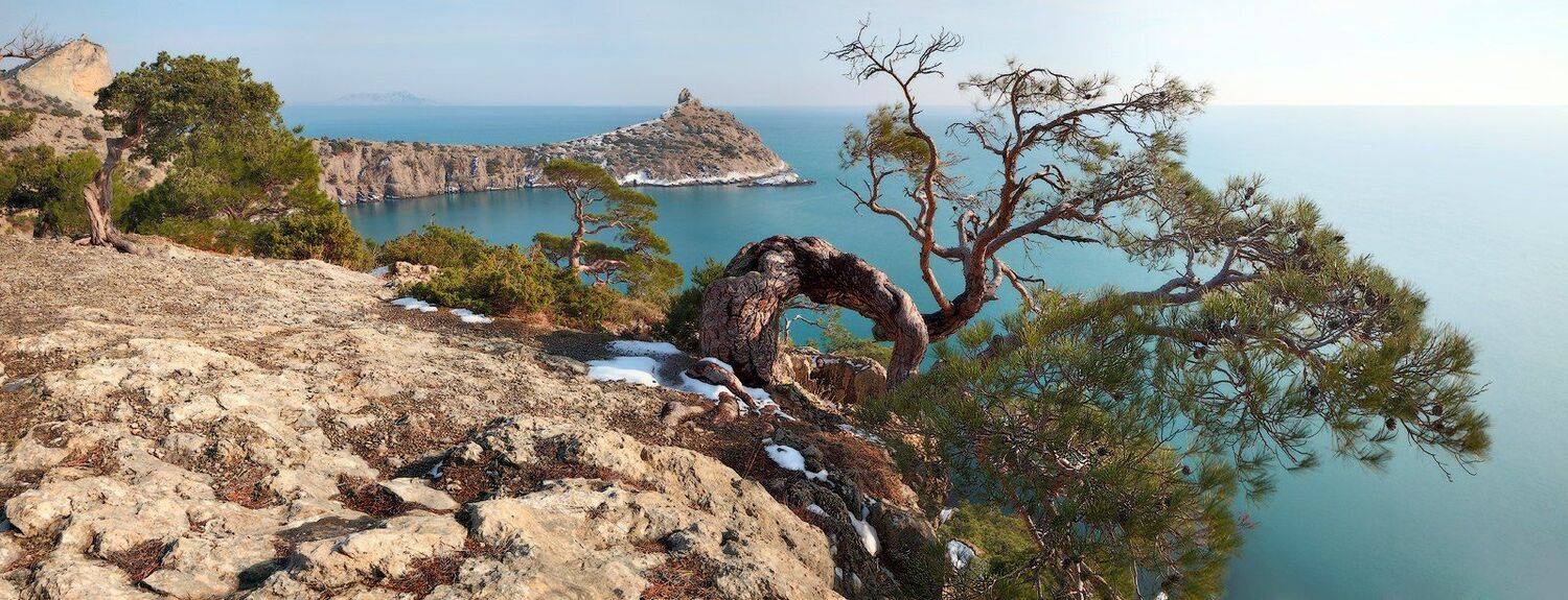 крым, новый свет, Михаил Псарёв