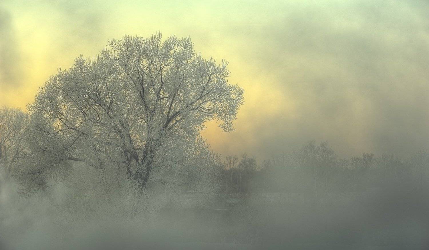 пейзаж, зима, река, пар., Ефимов Александр